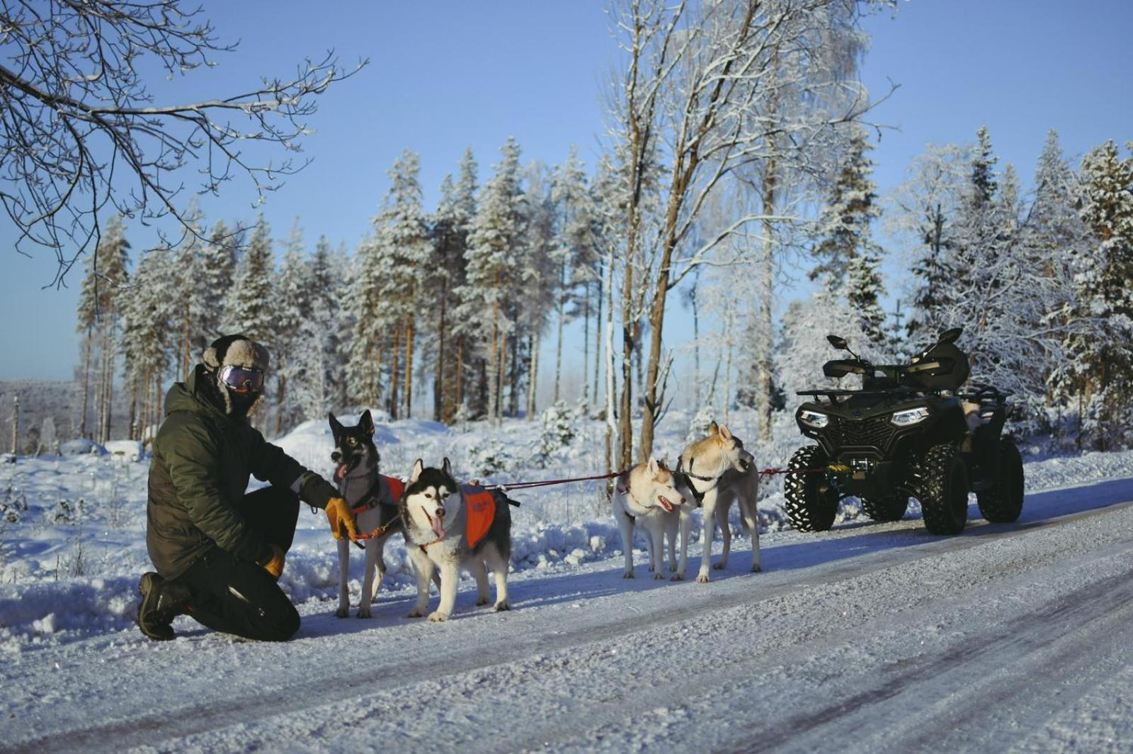 Arctic Ranch Villa Överkalix Exteriör bild