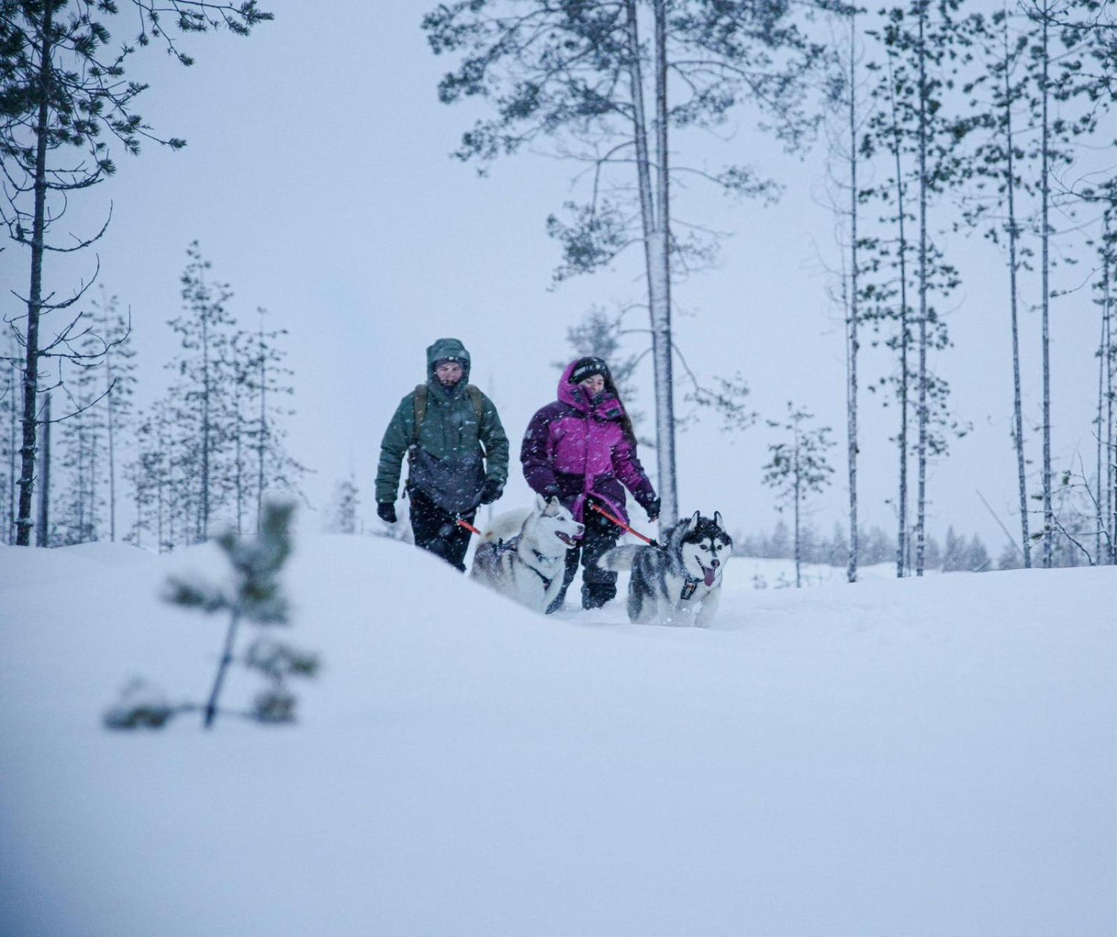 Arctic Ranch Villa Överkalix Exteriör bild